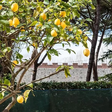 Lemon House Apartment